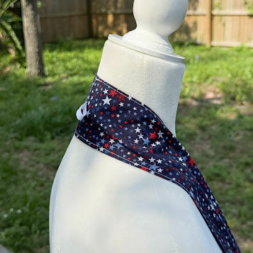 Mannequin wearing a red, white, and blue star-patterned dog collar outdoors.